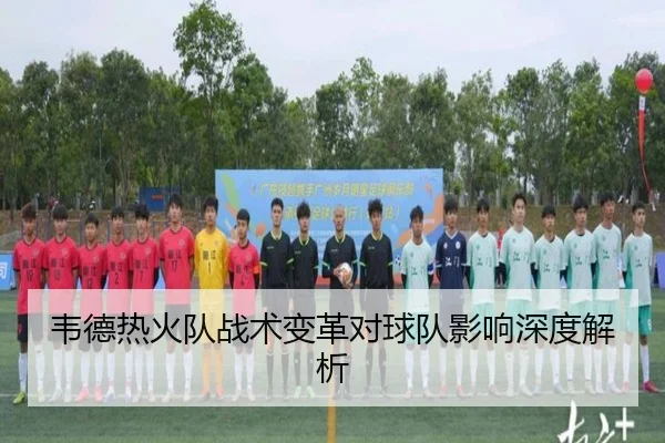 韦德热火队战术变革对球队影响深度解析